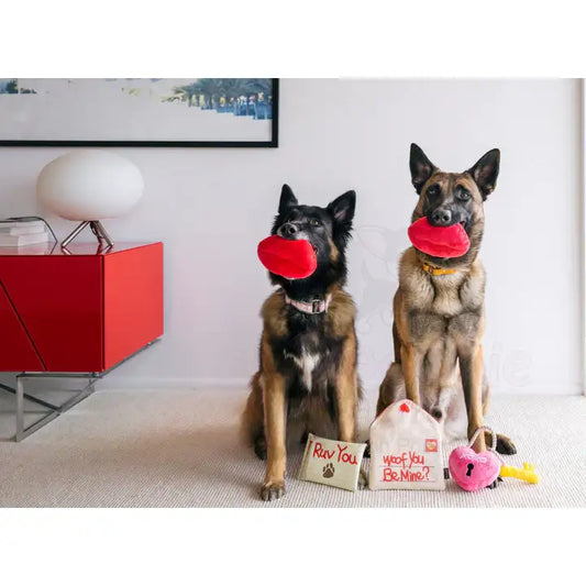 Smoochy Poochy Valentines Dog Toy by P.l.a.y - P.l.a.y - 2