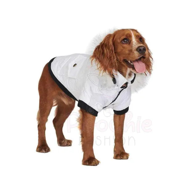 White on sale dog jacket