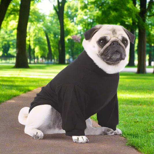Long Sleeve Ribbed Dog T-shirt Jumper Black - Rich Paw - 1