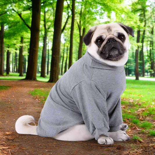 Long Sleeve Ribbed Dog T-shirt Grey - Rich Paw - 1