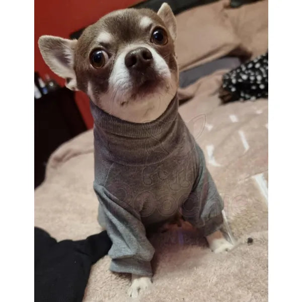 Long Sleeve Ribbed Dog T-shirt Grey - Rich Paw - 3