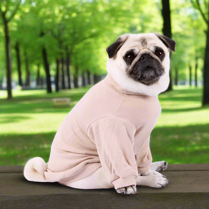 Long Sleeve Ribbed Dog T-shirt in Beige - Rich Paw - 1