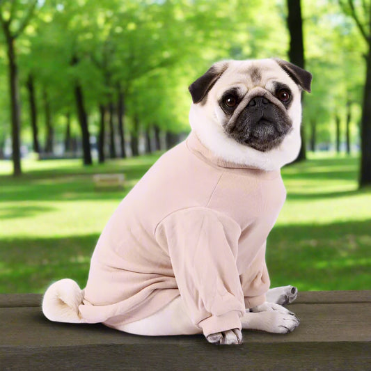Long Sleeve Ribbed Dog T-shirt in Beige - Rich Paw - 1