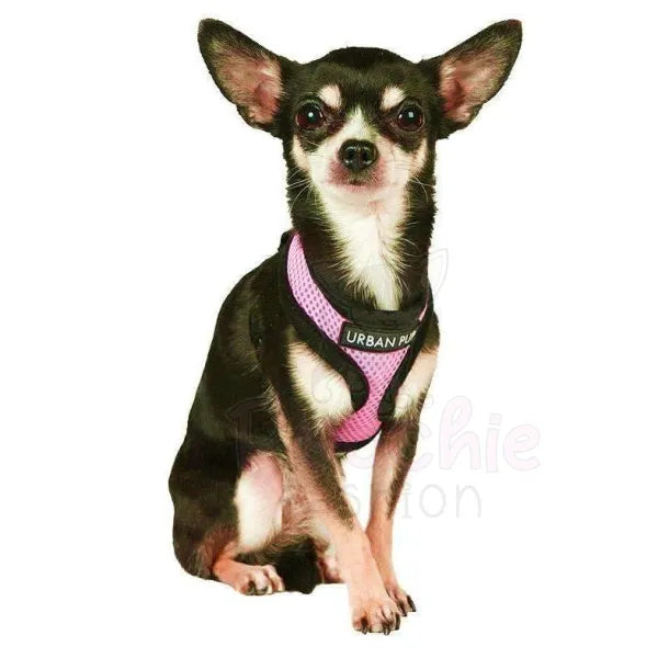 Soft Mesh Dog Harness in Candy Pink - Urban Pup - 2
