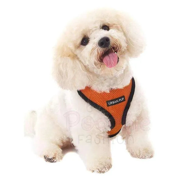 Soft Mesh Dog Harness in Juicy Orange - Urban Pup - 2