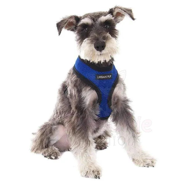 Soft Mesh Dog Harness in Royal Blue - Urban Pup - 2