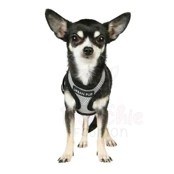 Soft Mesh Dog Harness in Steel Grey - Urban Pup - 2