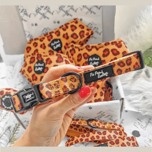 Spiced Honey Leopard Dog Collar - Pet Pooch - 1