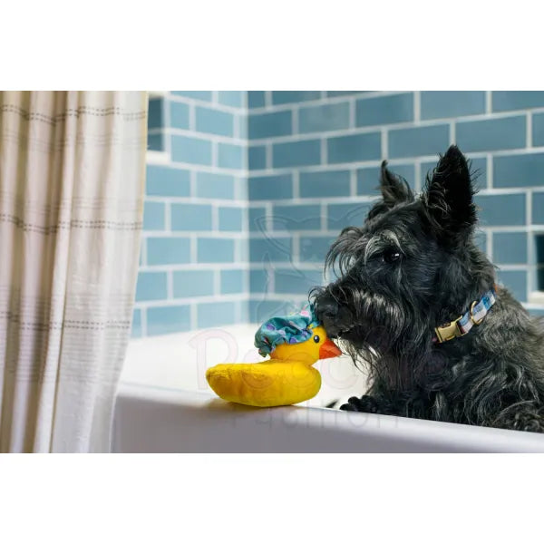 Splish Splash Bubbles the Duck Dog Toy by P.l.a.y - P.l.a.y - 3