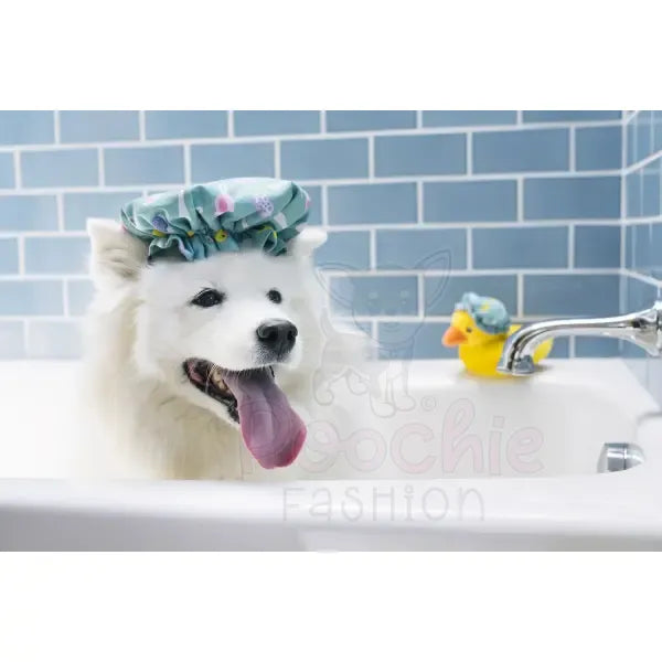 Splish Splash Shower Quack Dog Toy by P.l.a.y - P.l.a.y - 2