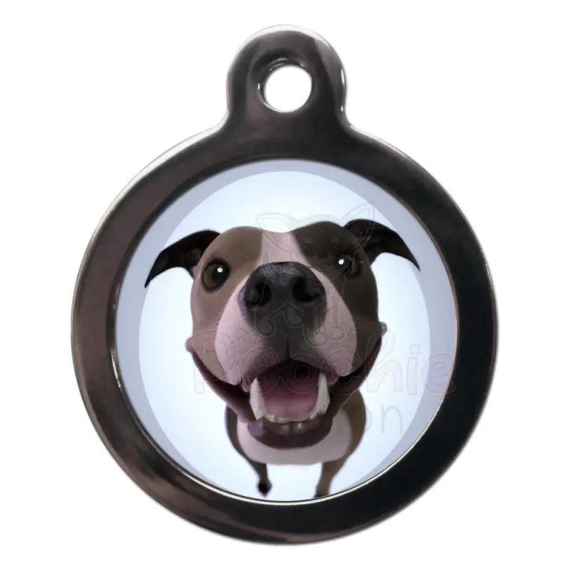 Staffy Fish Eye Lens Dog Id Tag - Ps Pet Tags - 1