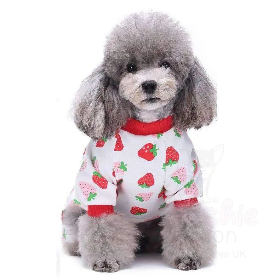 Strawberry Onesie Dog Pyjamas - Sale - 3