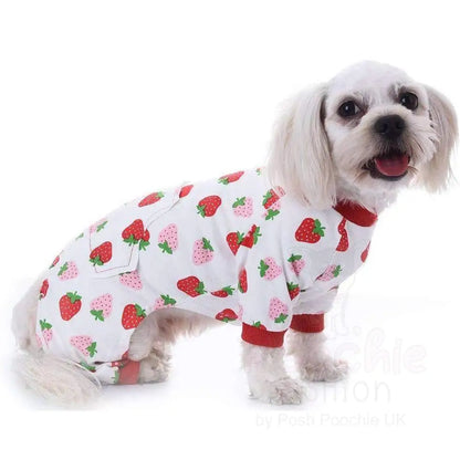 Strawberry Onesie Dog Pyjamas - Sale - 5
