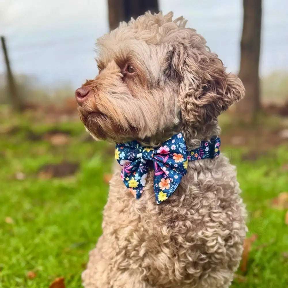 Summer Meadow Dog Sailor Bow - Pupclub Couture - 3