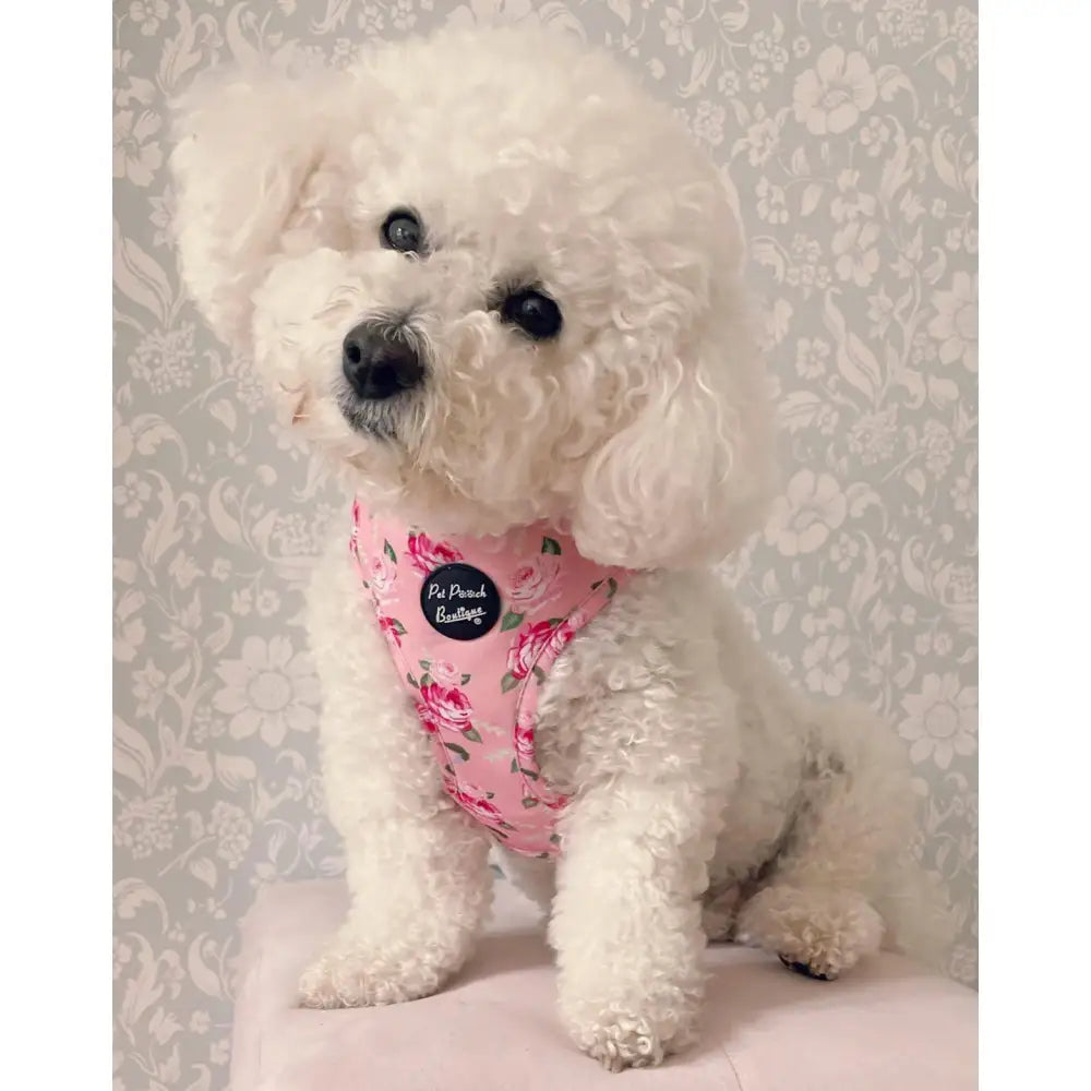 Sunday Rose Floral Dog Harness - Pet Pooch - 2