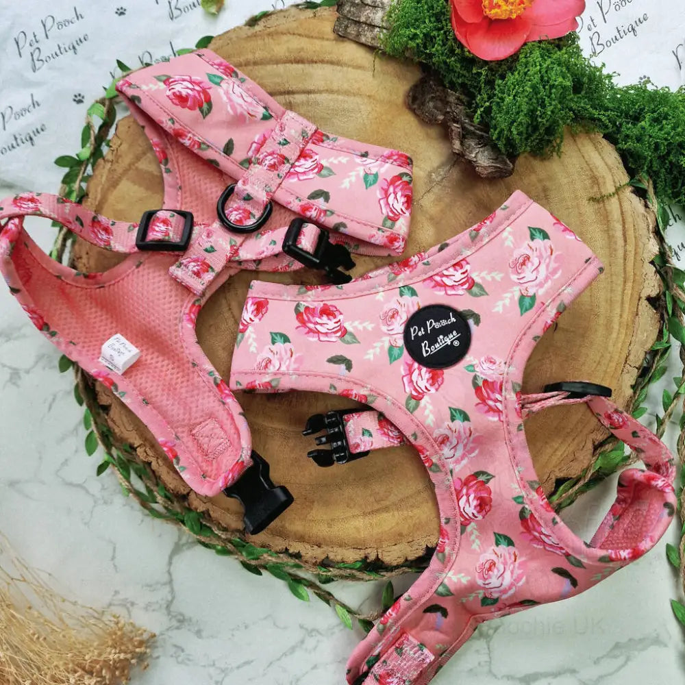 Sunday Rose Floral Dog Harness - Pet Pooch - 4