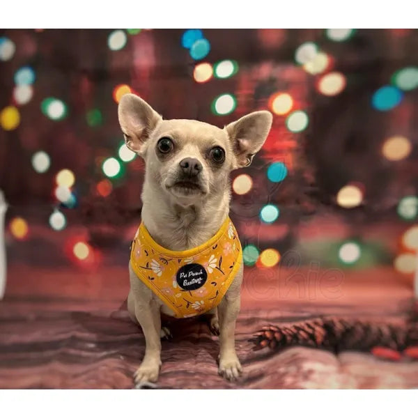 Sunshine and Daisies Dog Harness Medium - Sale - 3