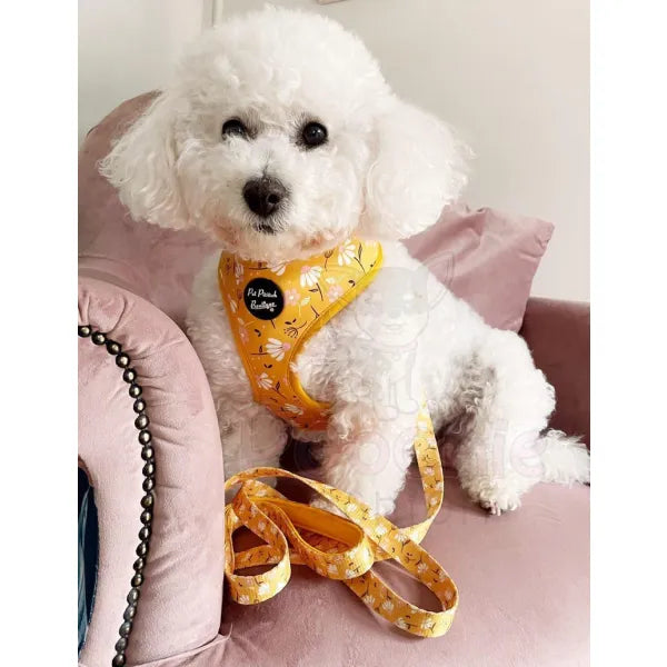 Sunshine and Daisies Dog Harness Medium - Sale - 2