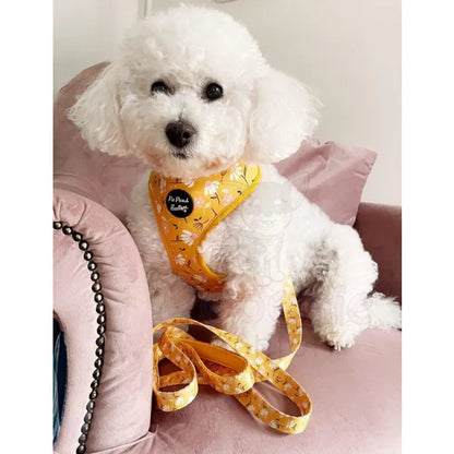 Sunshine and Daisies Dog Harness Medium - Sale - 2