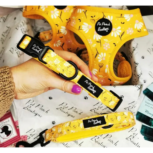 Sunshine and Daisies Puppy Dog Collar - Pet Pooch - 1