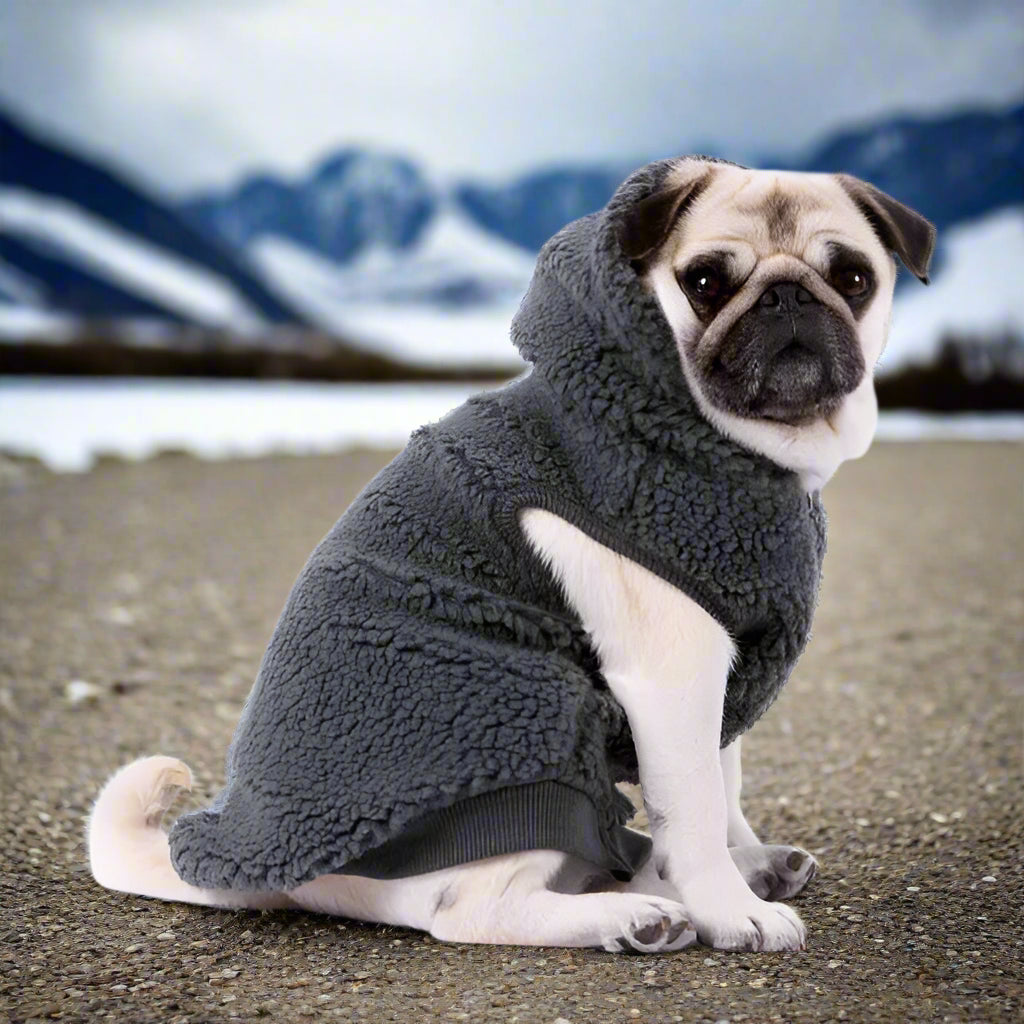 Teddy Sherpa Fleece Sleeveless Dog Zip Hoodie in Grey - Rich Paw - 1