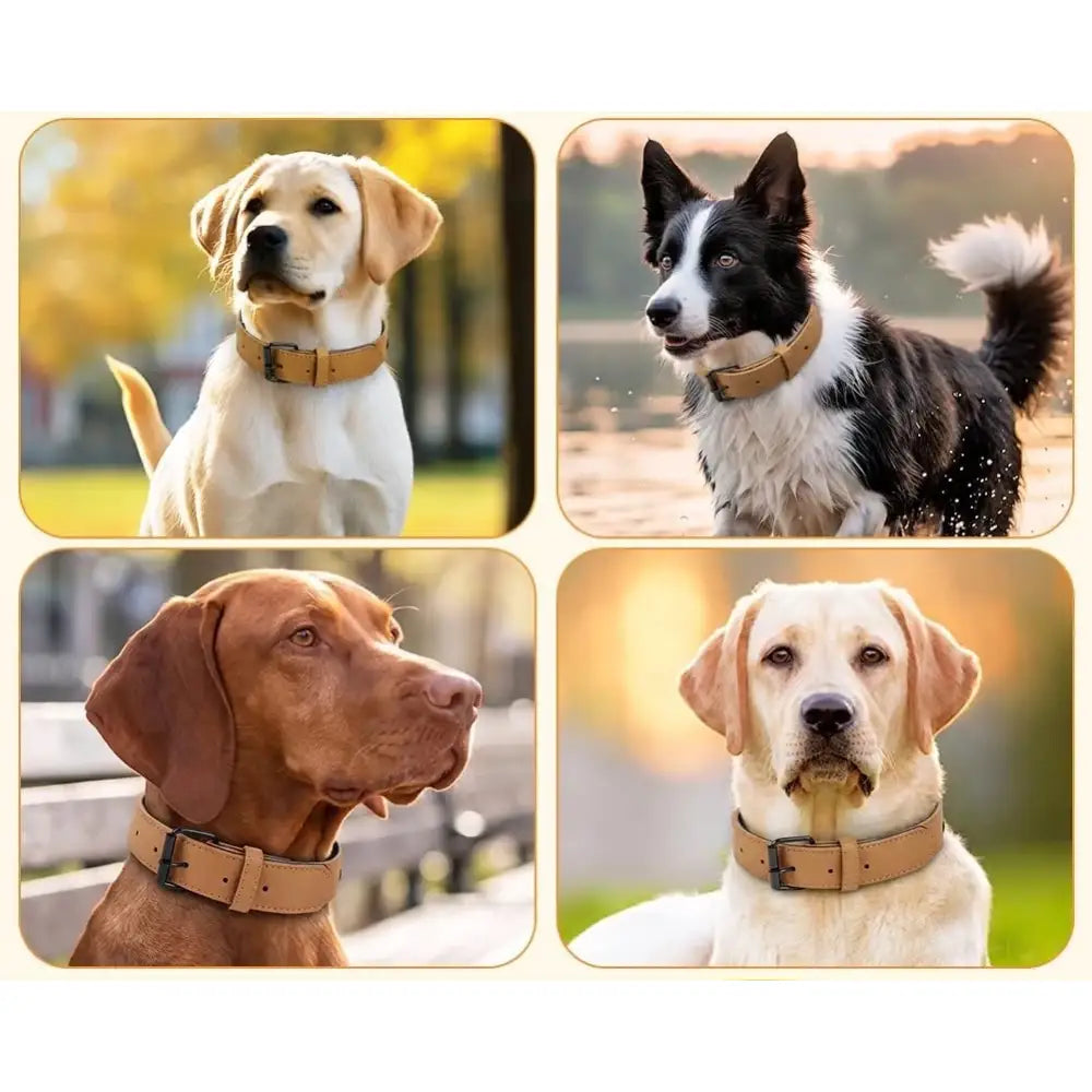Terra Vegan Leather Dog Collar in Caramel Brown - Posh Pawz - 3