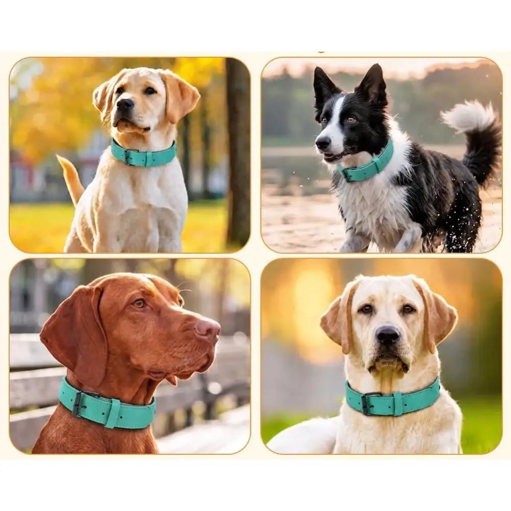 Terra Vegan Leather Dog Collar in Emerald Green - Posh Pawz - 3