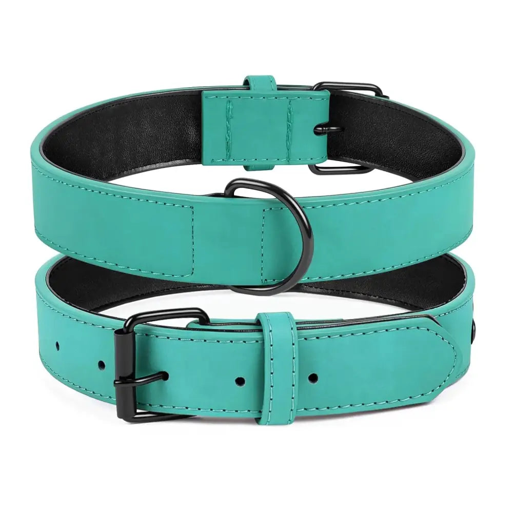 Terra Vegan Leather Dog Collar in Emerald Green - Posh Pawz - 1