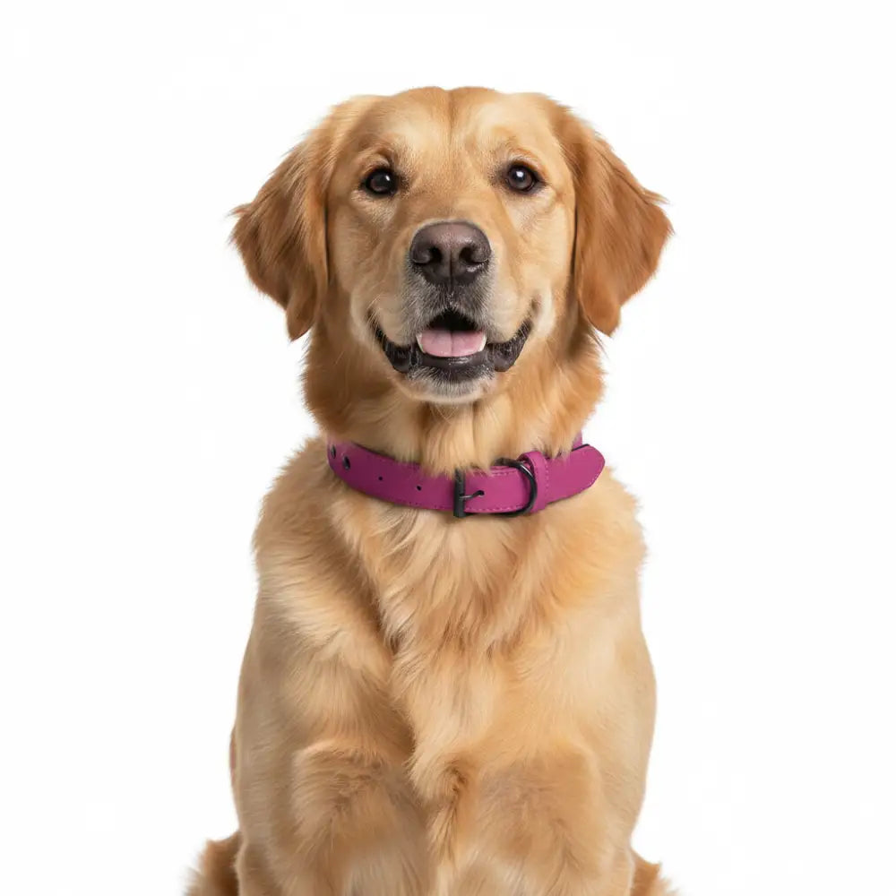 Terra Vegan Leather Dog Collar in Magenta Pink - Posh Pawz - 2