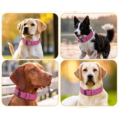 Terra Vegan Leather Dog Collar in Magenta Pink - Posh Pawz - 3