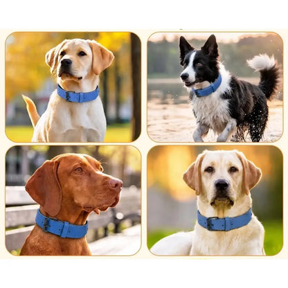 Terra Vegan Leather Dog Collar in Sapphire Blue - Posh Pawz - 3