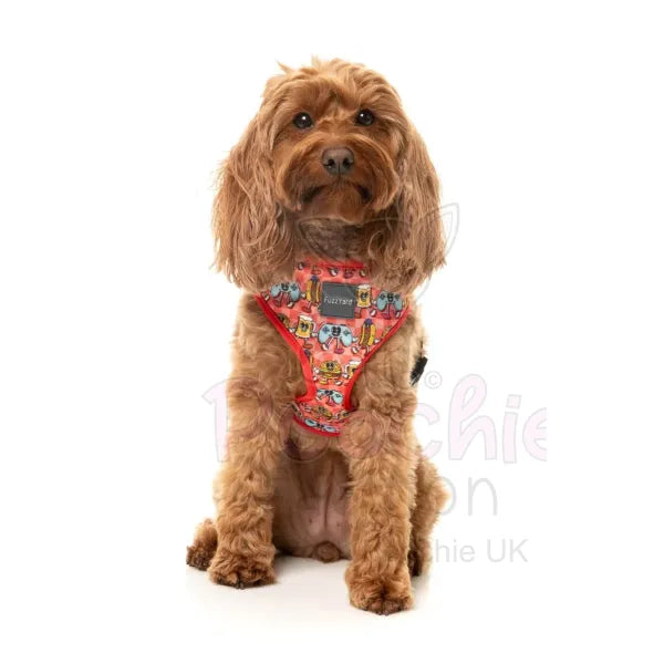 The Homies Dog Harness by Fuzzyard - Fuzzyard - 5