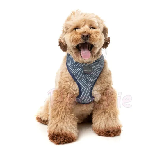 Thornbury Aegean Blue Dog Harness by Fuzzyard Fuzzyard 2