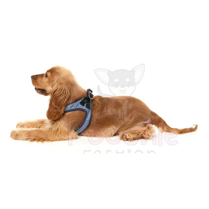 Thornbury Aegean Blue Step in Dog Harness by Fuzzyard Fuzzyard 5
