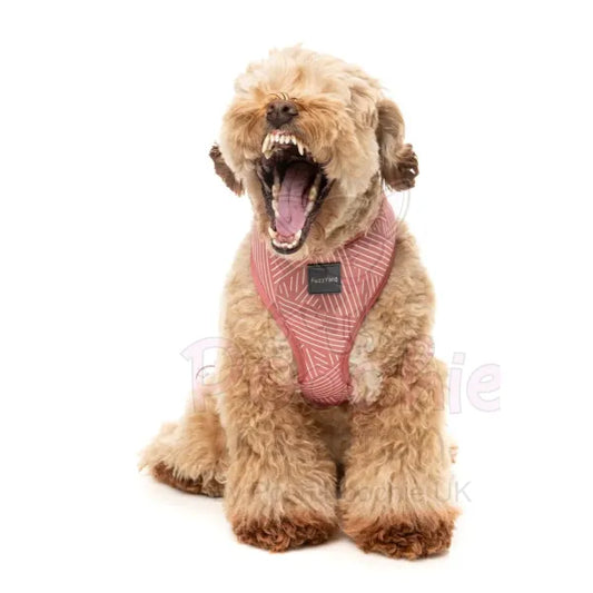 Thornbury Brick Red Dog Harness by Fuzzyard Fuzzyard 2