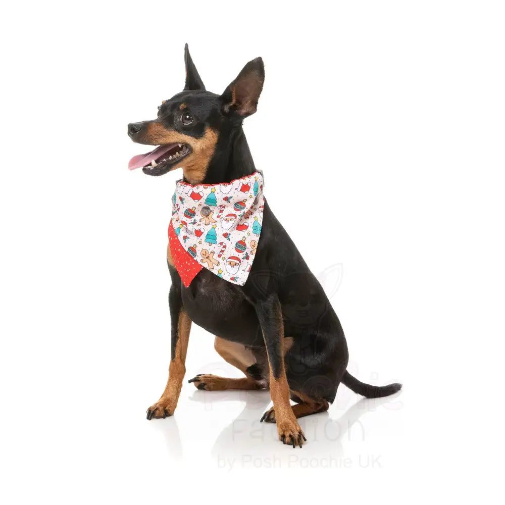 Tinsel Time Bow Tie & Bandana by Fuzzyard - Fuzzyard - 2