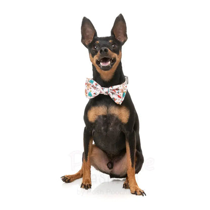 Tinsel Time Bow Tie & Bandana by Fuzzyard - Fuzzyard - 3