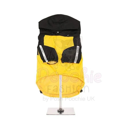 Trailfinder Dog Jacket in Yellow - Sale - 3