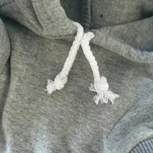 Training Please Don’t Distract Dog Hoodie Sweatshirt - Rich Paw - 11