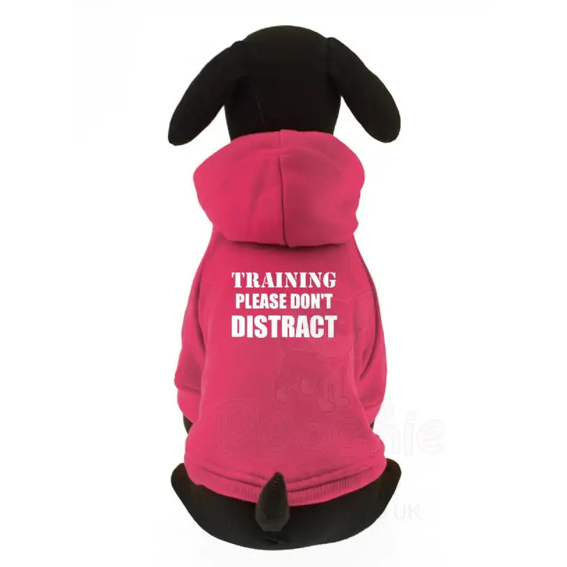 Training Please Don’t Distract Dog Hoodie Sweatshirt - Rich Paw - 6