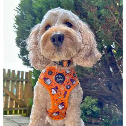 Trick or Treat Harry Halloween Dog Harness Pet Pooch 3