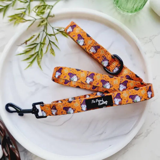 Trick or Treat Harry Halloween Dog Lead Pet Pooch 1