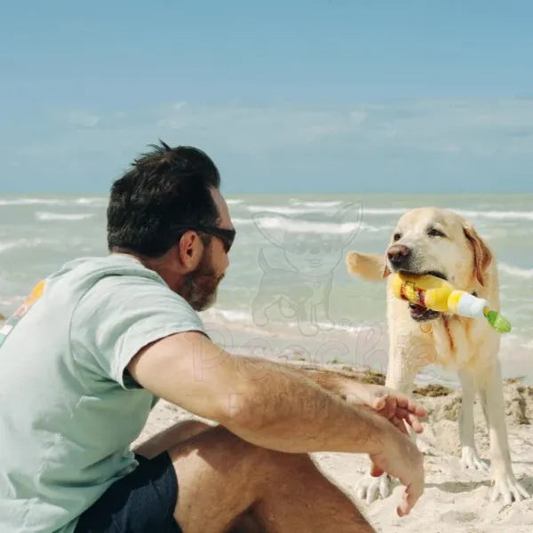 Tropical Paradise Canine Cerveza Dog Toy by P.l.a.y - P.l.a.y - 3