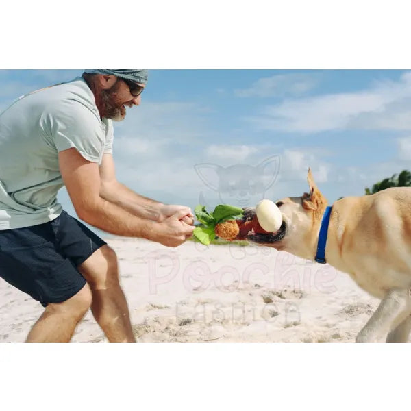 Tropical Paradise Puppy Palm Dog Toy by P.l.a.y - P.l.a.y - 7