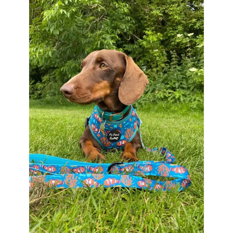 Under The Sea Dog Harness - Pet Pooch - 4
