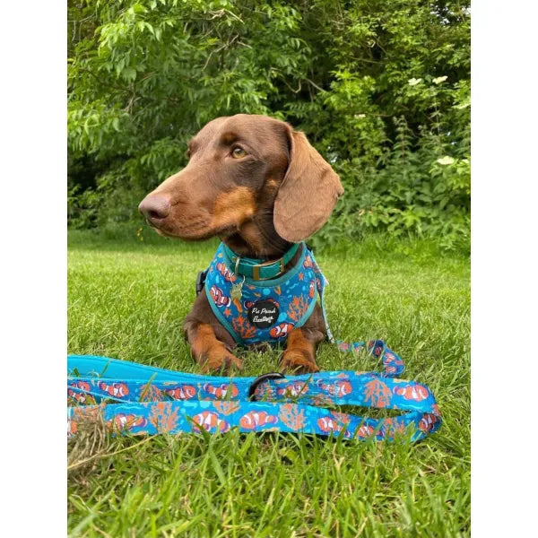 Under the Sea Dog Harness - Pet Pooch - 4