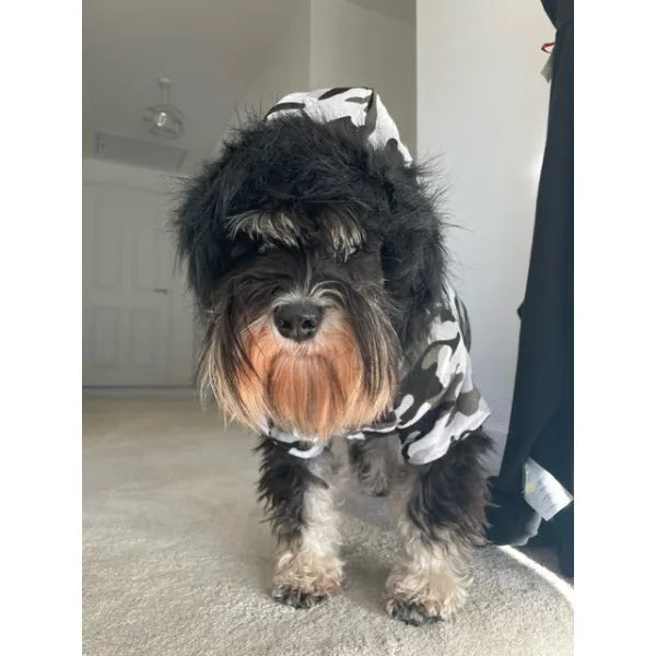 Urban Camouflage Fish Tail Parka Dog Coat - Urban - 4