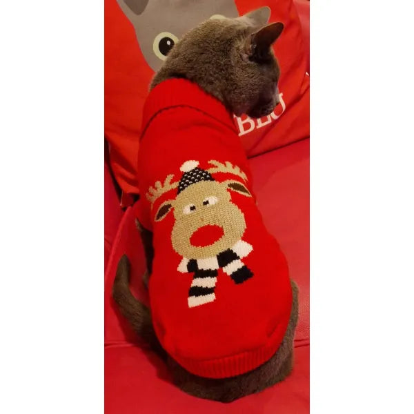 Urban Pup Prancer’s Xmas Dog Jumper Medium - Sale - 1
