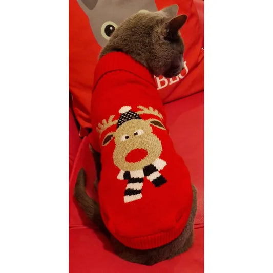 Urban Pup Prancer’s Xmas Dog Jumper Medium - Sale - 1