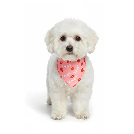Valentines Love Lips Tie on Dog Bandana Pink - Posh Pawz - 1